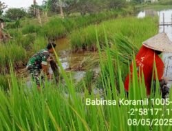 Babinsa Serda Herwandi: Garda Terdepan Ketahanan Pangan di Lepasan, Bakumpai