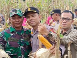 Danpos Ramil Pasie Raya Panen Jagung Bersama