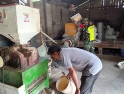 Babinsa Koramil 0105-10/Woyla Barat Sertu Robet Bantu Petani Giling Padi di Desa Alue Perman