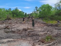 Kilas Balik H+4 TMMD Nunukan: Progres Signifikan Pembukaan Jalan Mengandalkan Tenaga Alat Berat