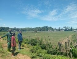 Silaturahmi Babinsa dan Petani, Wujud Kepedulian Teritorial di Desa Keutambang