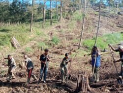 Satgas Yonif 614/RJP Bantu Warga Buka Lahan untuk Berkebun