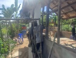 Progres TMMD Nunukan: Pembangunan Rumah Layak Huni di Mansapa Capai Tahap Pemasangan Dinding