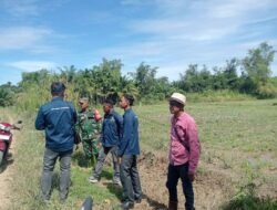 Koptu M. Nazir Bersama PPL dan Aparatur Desa Cek Saluran di Desa Manjeng