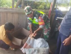Perkokoh Ekonomi Lokal: Babinsa Setia Bakti Aktif Dampingi dan Beri Dukungan pada Pelaku Usaha Ikan Asap di Desa Padang, Aceh Jaya
