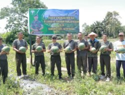 Kodim 0105/Abar Membentuk Kompi Produksi untuk Mendukung Ketahanan Pangan Nasional