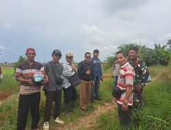 Gandeng Poliban, Cetak Sawah Rakyat Jadi Harapan Baru di Jejangkit