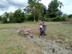 Untuk Mencapai Swasembada Pangan Babinsa Terus Giat Mendorong para Petani untuk Membajak Sawahnya