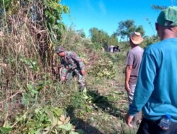 Babinsa Koramil 06/Teunom Bersama Masyarakat Blang Baro Gelar Gotong Royong Pembersihan Jalan Pertanian
