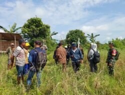 Pasi Ter Kodim 1203/Ktp Tinjau Fisik Optimasi Lahan di Sungai Paduan