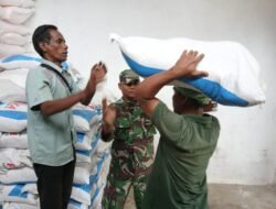 Babinsa Pos Ramil Pasi Raya, Serda Amrillah, Bantu Angkat Pupuk Bersubsidi, Wujud Nyata Kedekatan TNI dengan Petani