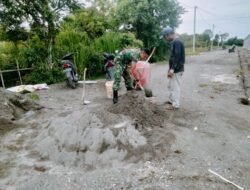 Kendati Tanggal Merah, Babinsa Koramil 04/Meureubo Anut Filosofi Kerja Ikhlas Kerja Tuntas Bantu Warga Bangun Rumah