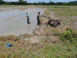 Babinsa Terus Giat Mendorong para Petani untuk membajak Sawahnya Menjelang Musim tanam