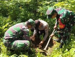 Kawasan Area Terbuka Hijau Desa Pengaron Ditanami 100 Bibit Pohon