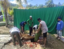 Semangat Berbagi Di Hari Raya Idul Adha, Kodim 1801/Manokwari Gelar Pemotongan Hewan Kurban