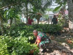 Program 1 Juta Pohon, Kodim 1509/Labuha Tanam Pohon di Wilayah Obi Demi Pelestarian Lingkungan dan Penghijauan