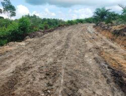 Mansapa Kini Tersenyum Lebar: Berkat TMMD ke-124, Desa Perbatasan Jadi Percontohan