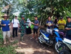 Kolaborasi Babinsa dan Tenaga Pertanian, Menghadapi Tantangan Petani di Desa Tabihi