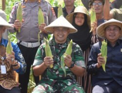 Sinergi Kodim 1003/HSS dan Polres HSS, Mendukung Swasembada Pangan Nasional