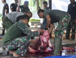 Momen Idul Adha, Kodim 1003/HSS Bagikan Daging Qurban kepada Masyarakat dan Fakir Miskin