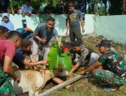Korem 012/TU Laksanakan Pemotongan Hewan Kurban Idul Adha 1446 H
