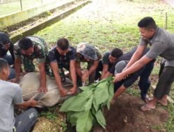 Kodim 0114/Aceh Jaya Gelar Pemotongan Hewan Qurban, Pererat Kebersamaan di Hari Raya Idul Adha 1446 H