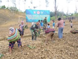 TNI Peduli Pangan: Satgas Yonif 614/RJP Ajarkan Warga Menanam Palawija