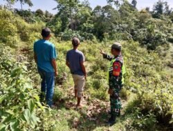 Kegiatan Babinsa Koramil 01/Sungaimas Sosialisasi Karhutla di Desa Binaannya