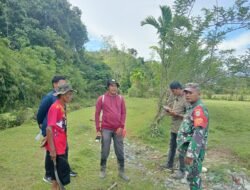 Babinsa Posramil 05/PC Terus Dorong Pemanfaatan Lahan untuk Tanaman Pangan