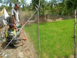 Babinsa Koramil 09/Samatiga Bersama Kelompok Tani Laksanakan Pengecekan Kondisi Bibit Padi di Desa Ujung Nga