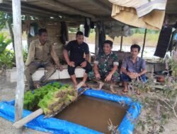 Perkuat Ketahanan Pangan, Danpos Ramil Pasie Raya Ajak Petani Tingkatkan Produksi Padi
