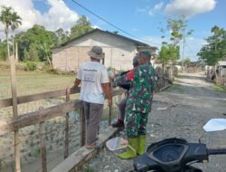 Babinsa Posramil 05/PC Aktif Kawal Produktivitas Pertanian di Desa Lango