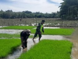 Serda Yusfendi Bantu Petani Semai Bibit Padi di Desa Binaan