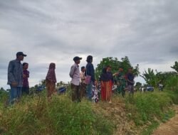 Babinsa Dampingi Pengecekan Lapangan Normalisasi Tanggul di Desa Babirik Hilir