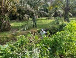 Babinsa Posramil 05/PC Kodim 0105/Aceh Barat Wujudkan Kepedulian Lingkungan Lewat Gotong Royong