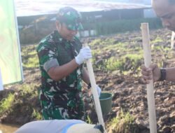 Dandim 1203/Ketapang Hadiri Penanaman Jagung Serentak Kuartal III Secara Vicon dan Penanaman Jagung di Lahan Perhutan Sosial