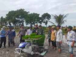 Babinsa Turut Hadir Dalam Mendukung Ketahanan Pangan di Wilayah