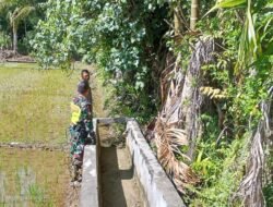 Babinsa Posramil 05/PC Kodim 0105/Aceh Barat Aktif Dampingi Petani Hadapi Tantangan Cuaca