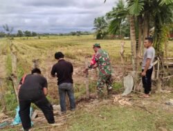 Babinsa Posramil 05/PC Kodim 0105/Aceh Barat Aktif Dukung Ketahanan Pangan di Wilayah Binaan