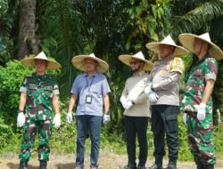 Panen Raya Cabai Merah dan Semangka Non Biji: Kodim 0105/Abar Menuai Hasil Melimpah