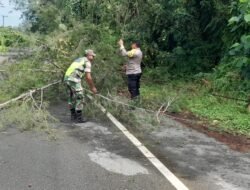 Tim Gabungan Koramil 03 Setia Bakti dan Polsek Setia Bakti Bersih-bersih Kayu Tumbang di Jalan Nasional Banda Aceh – Calang