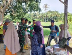 Meningkatkan Kesejahteraan Petani, Babinsa Koramil 1003-02/Padang Batung Berkoordinasi dengan PPL Mencari Solusi