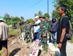 Dandim 1005/Batola Dampingi Dirjen PSP Kementan Tinjau Lahan Oplah di Barito Kuala