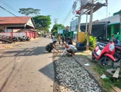 Babinsa Koramil 1001-11/Danau Panggang Laksanakan Komunikasi Sosial dengan Masyarakat Desa Pandamaan