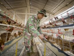 TMMD Ke-125 Kudus: Kemanunggalan TNI-Rakyat Wujudkan Ketahanan Pangan Lokal