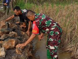 Perbaikan Jalan Rusak: Babinsa Koramil 1003-06/Simpur Berkomitmen Meningkatkan Kepedulian Masyarakat