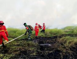 Karhutla di Kecamatan Daha Barat HSS, Babinsa Bersama Tim Penanggulangan Karhutla Bergerak Cepat Untuk Mengatasi