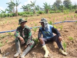 Sapa Hangat TNI di Ladang: TMMD Kudus Pererat Tali Silaturahmi