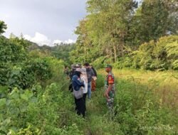 Peninjauan Lokasi Cetak Sawah Baru di Aceh Jaya: Sinergi TNI, Pemerintah, dan Akademisi Dukung Ketahanan Pangan