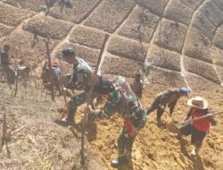 Satgas Yonif 614/RJP Bantu Warga Mengolah Lahan Kosong untuk Ketahanan Pangan